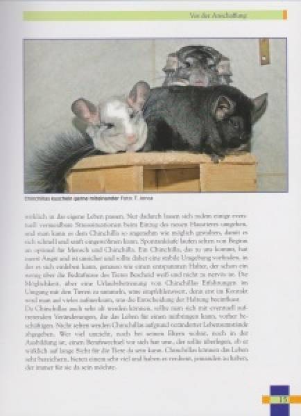 Leben mit Chinchillas